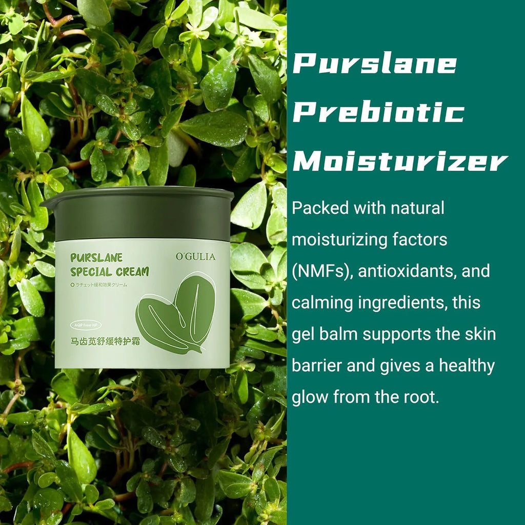 Purslane Facial Cream – Hydrating, Calming Barrier Moisturizer