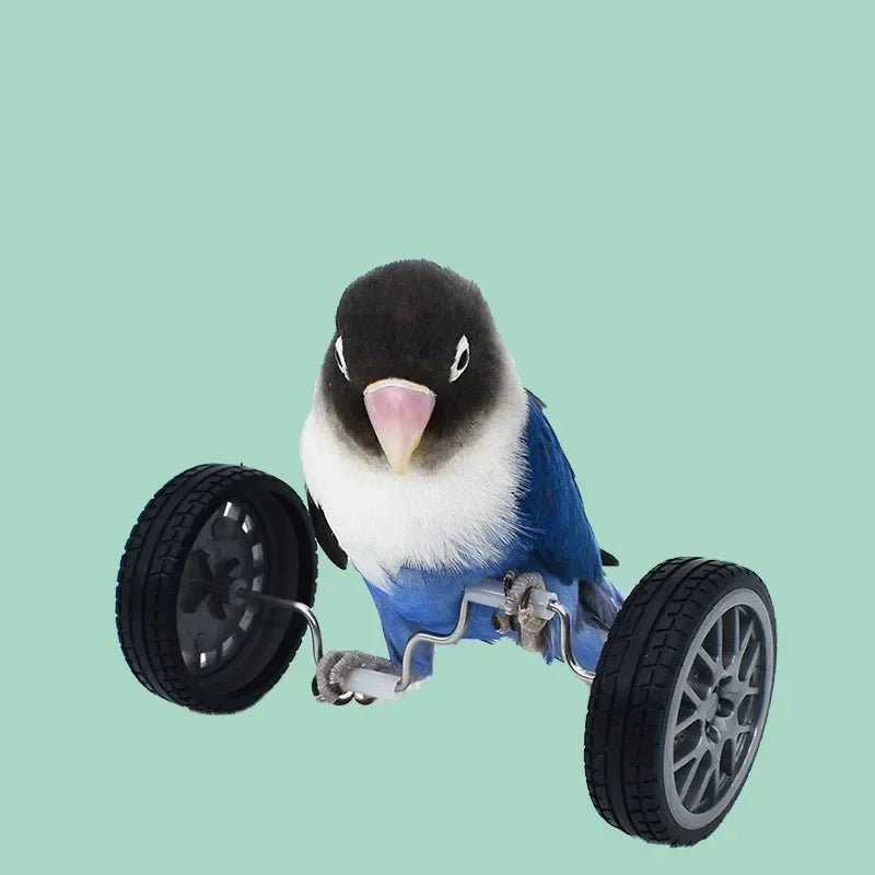 Parrot Balance Car Deboring Toys Small and Medium-Sized Bird Supplies Roller Skateboard Skill Training Props Phoenix Bird Toys Oasis Select