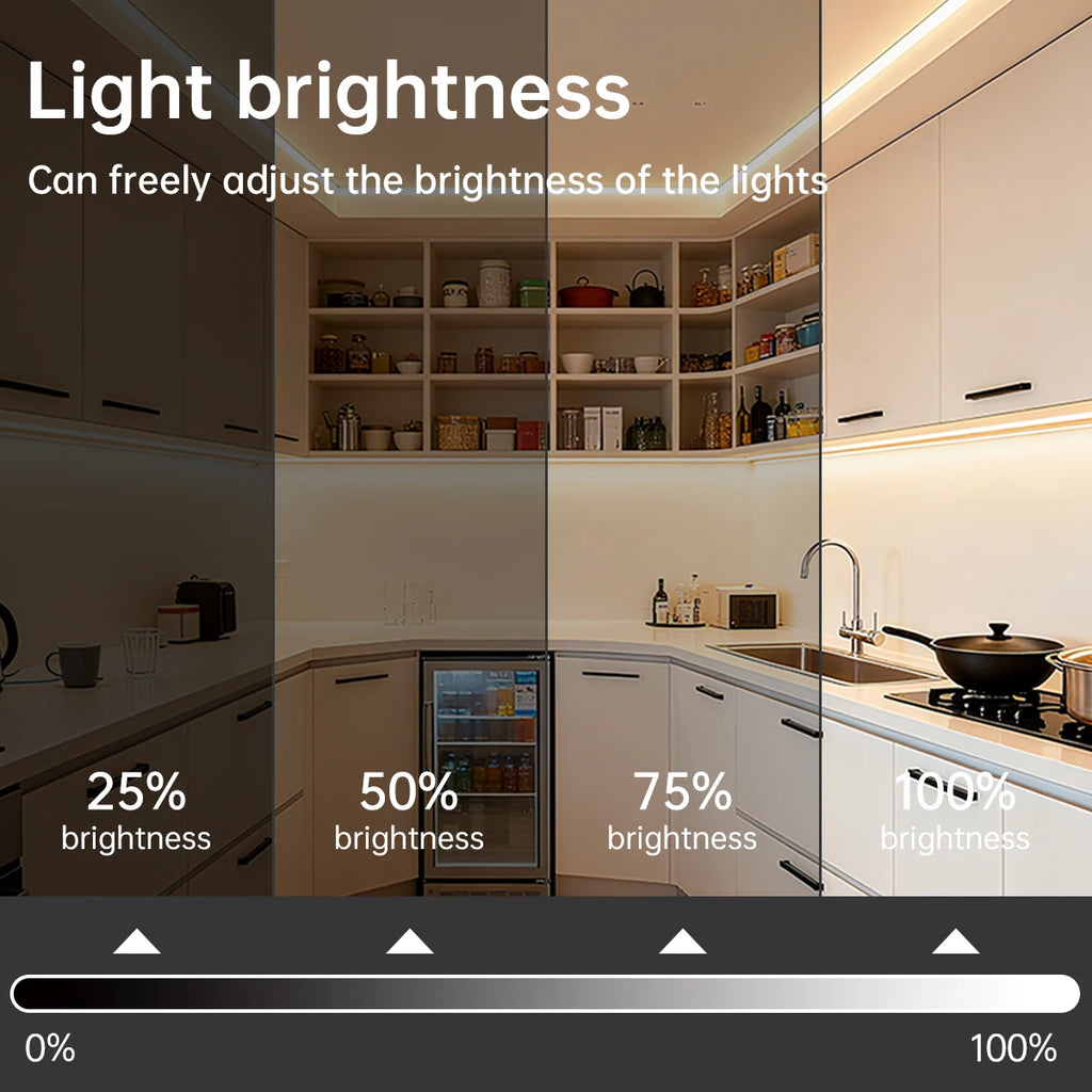 10M 5M 3M Dimmable LED Neon Light with Intelligence Zigbee3.0 Controller 24V Fireproo Silicone COB Lamp for Alexa Google Voice Oasis Select