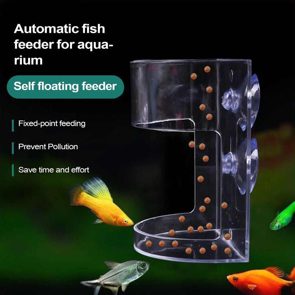 Fish Food Dispenser Transparent Fish Feeding Dish Large Capacity Anti-Drifting Suction Shrimp Feeding Dish for Hatchery Breeding Oasis Select