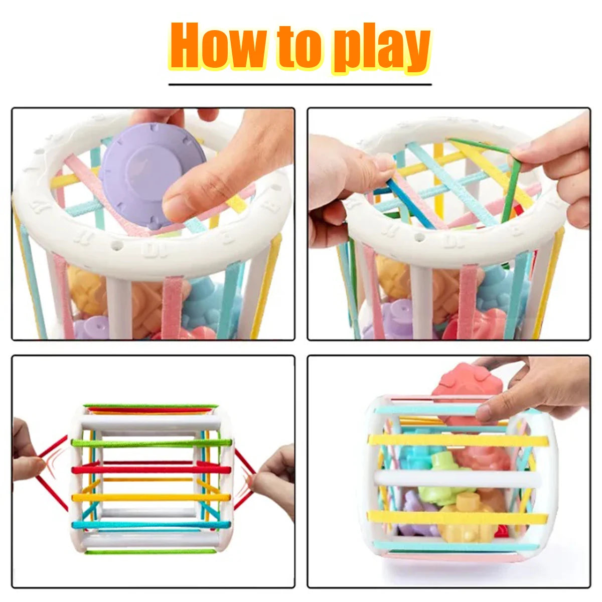 Fruit Cecele Shape Color Color Fruit Cognition Rainbow Cecele interactive game toy Oasis Select