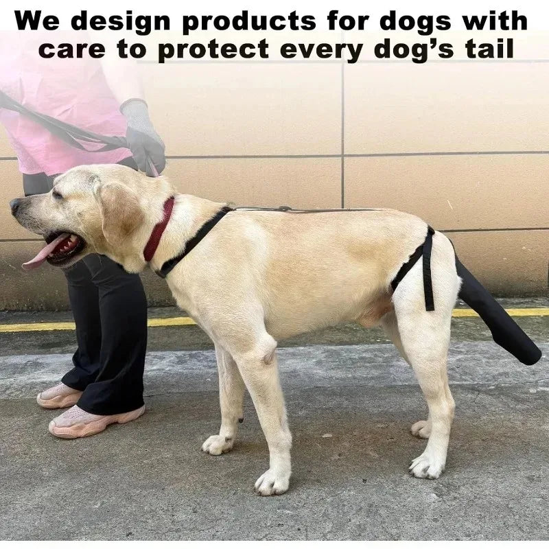 Universal Fit Dog Tail Protector Comfortable Sleeve Guard for Wound Protection Safe Healing and Daily Use Pet Accessory Oasis Select