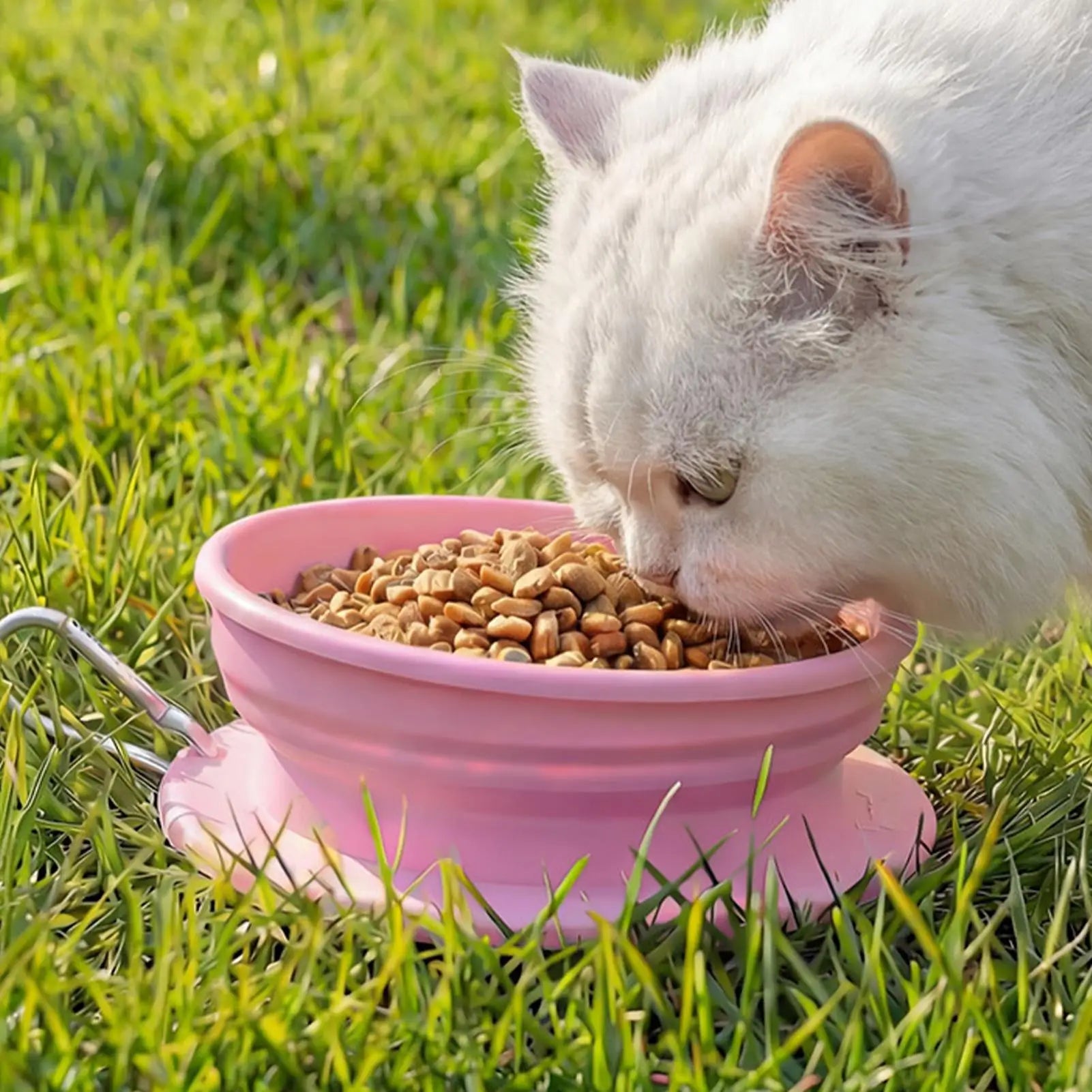 Portable Pet Food Bowl Cat and Dog Food Pet Silicone Foldable Bowl Portable Travel Outdoor Water Food Bowl Pet supplies Oasis Select