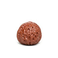 Zisha Tea Pet Walnut Small Ornament Cultural Plaything Playing Walnut Wealth-attracting Sculpture Tea Play Oasis Select Playing with Walnuts