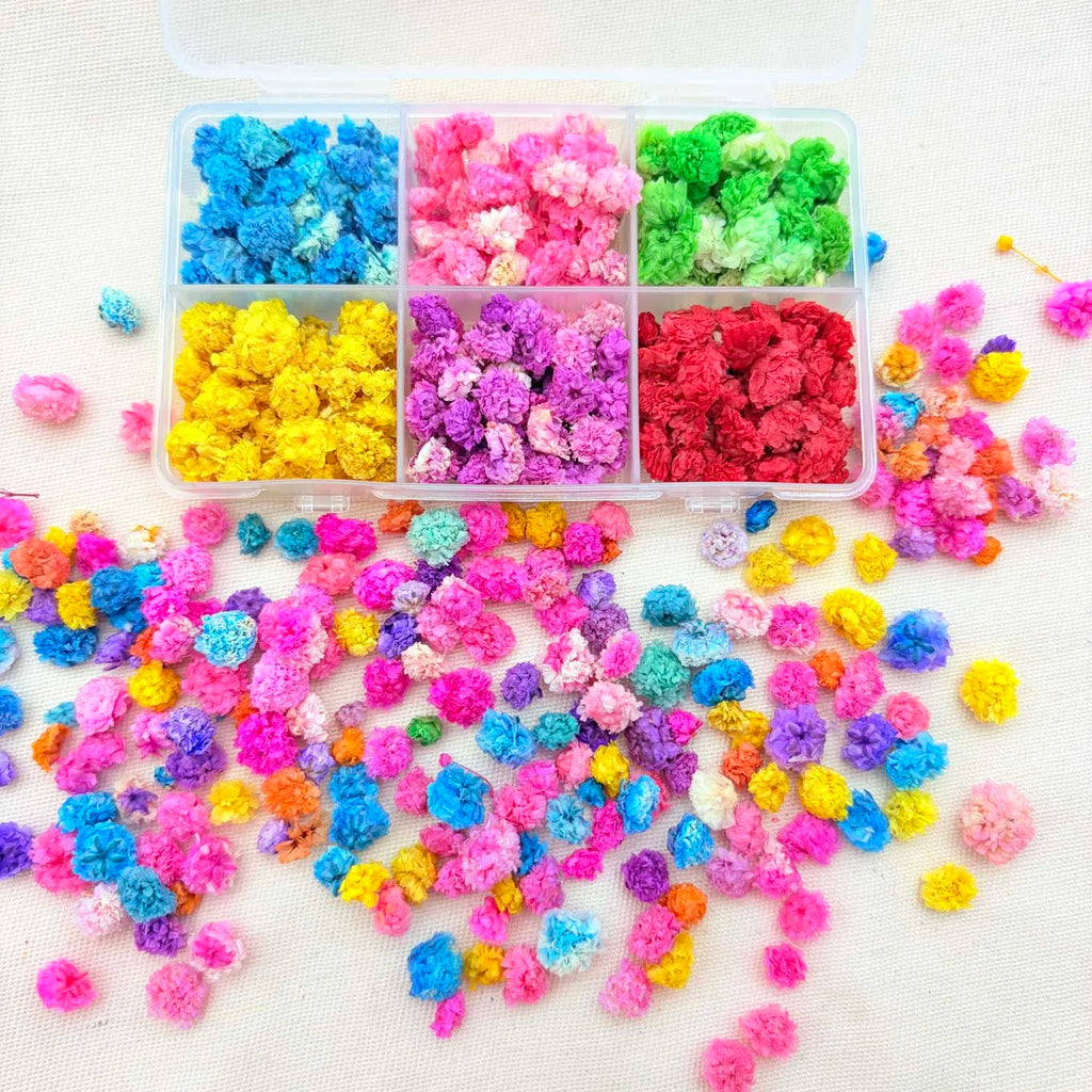Dried Flowers for Resin, Candle, Soap, Nail Art & DIY Crafts