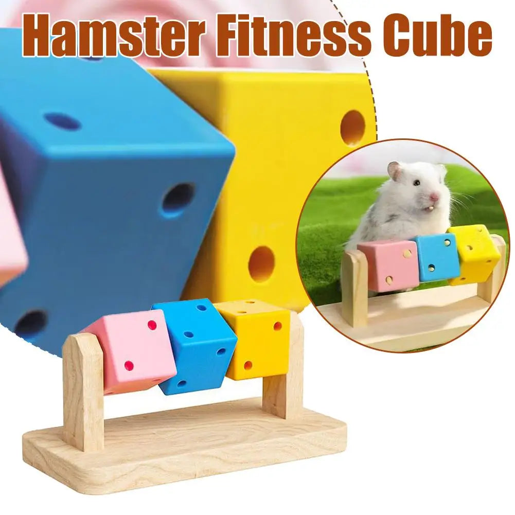 Hamster Fitness Cube Colorful Multi Faceted Activity Stress Relieving And Anti Depressant Toys For Hamster Sports Oasis Select