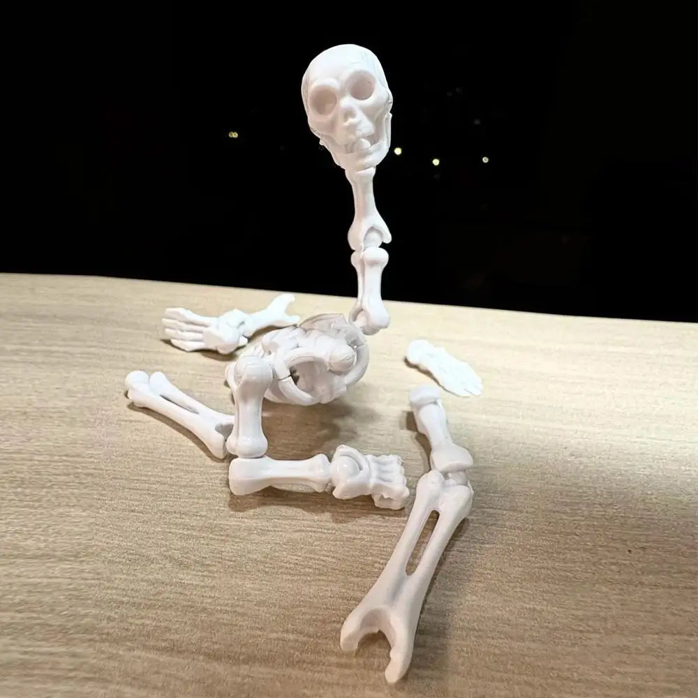 3D Skull DIY Assembly Toy – Articulated Mini Skeleton Model