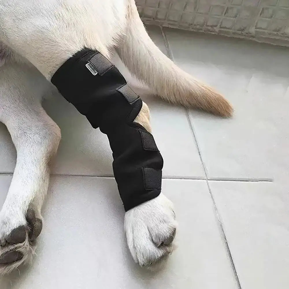 Pet Dog Joint Bandages Wrap Dog Injurie Leg Knee Brace Strap Protection Prevent Licking Sleeve Doggy Supplies Oasis Select