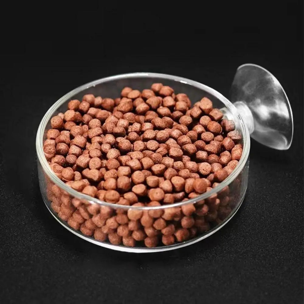 Acrylic Aquarium Feeder Transparent with Suction Cup Aerial Feeding Bowl Universal Fish Shrimp Feeding Dish Oasis Select