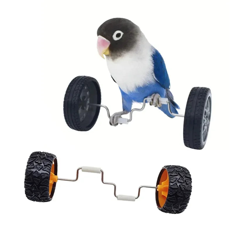Parrot Balance Car Deboring Toys Small and Medium-Sized Bird Supplies Roller Skateboard Skill Training Props Phoenix Bird Toys Oasis Select