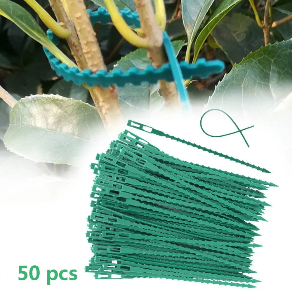 50pcs Adjustable Plastic Plant Cable Ties Reusable Cable Ties for Garden Tree Climbing Support Plant Vine Tomato Stem Clip Oasis Select Default Title