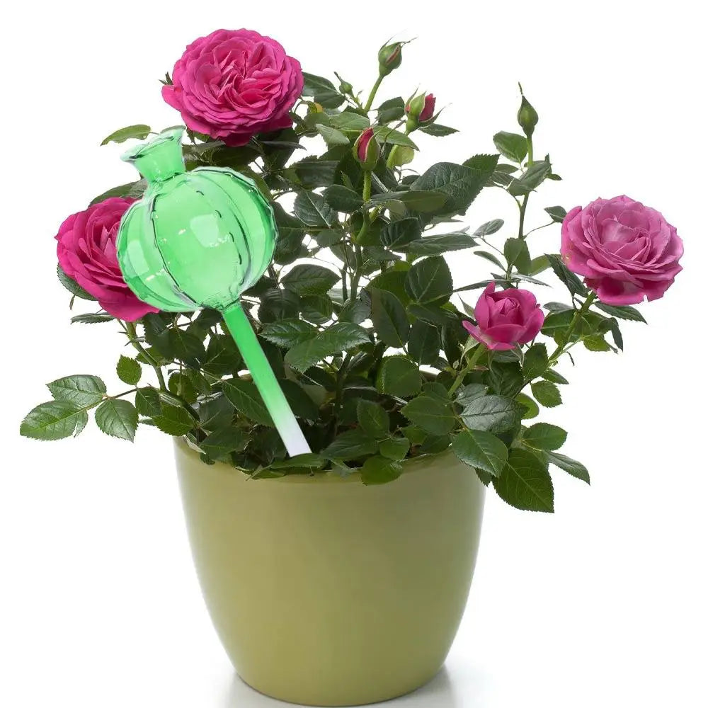 Cactus Glass Self-Watering Plant Bulbs | Automatic Feeder