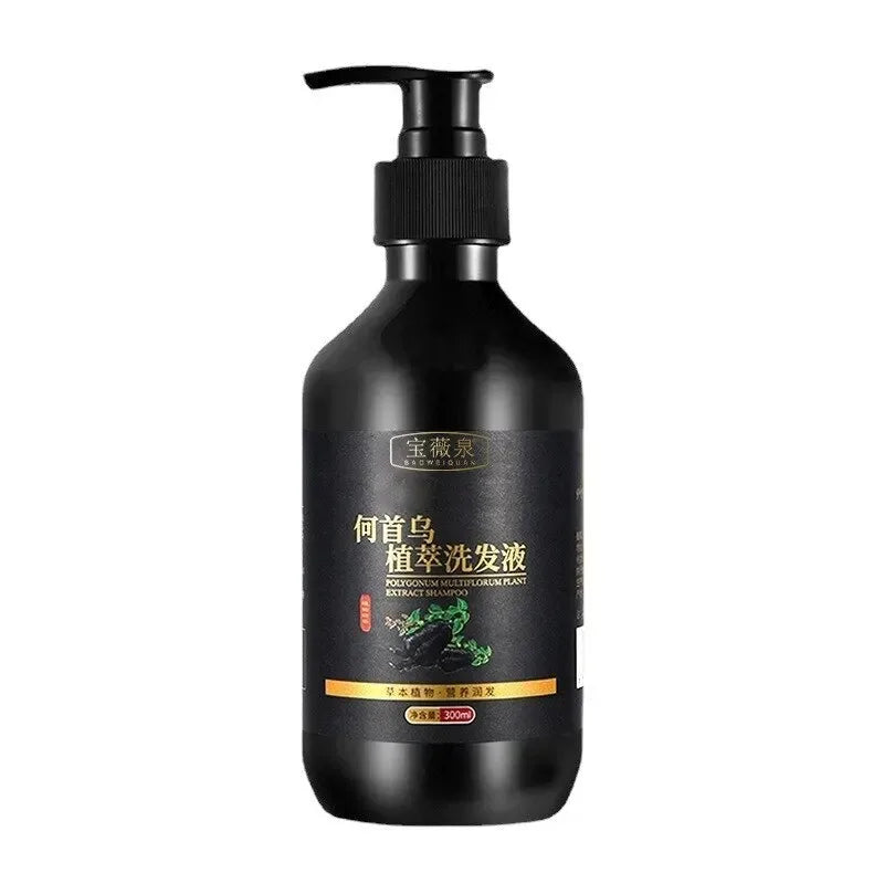 Herbal Polygonum Multiflorum Shampoo – Oil & Dandruff Control Herbal Shampoo Oasis Select 1PC