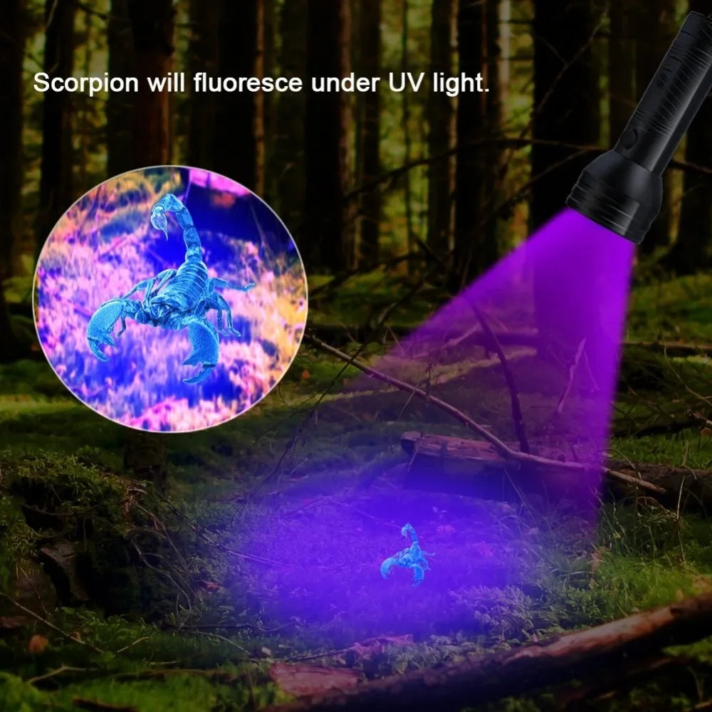 POCKETMAN UV Blacklight Flashlight 395nm | 9–51 LED