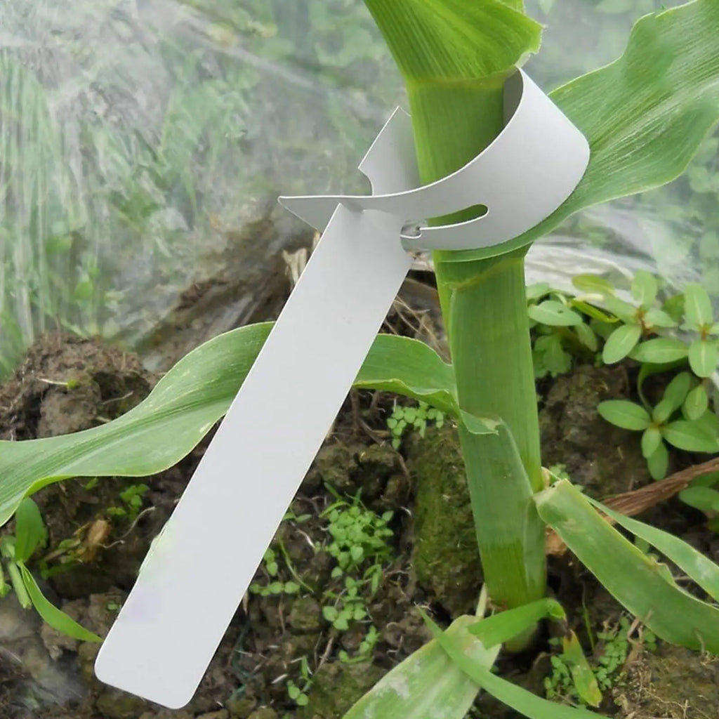 Plant Labels 100Pcs Waterproof Plant Markers Plastic Plant Hanging Tags Gardening Plant Marker Label Tools Planters Supply Oasis Select