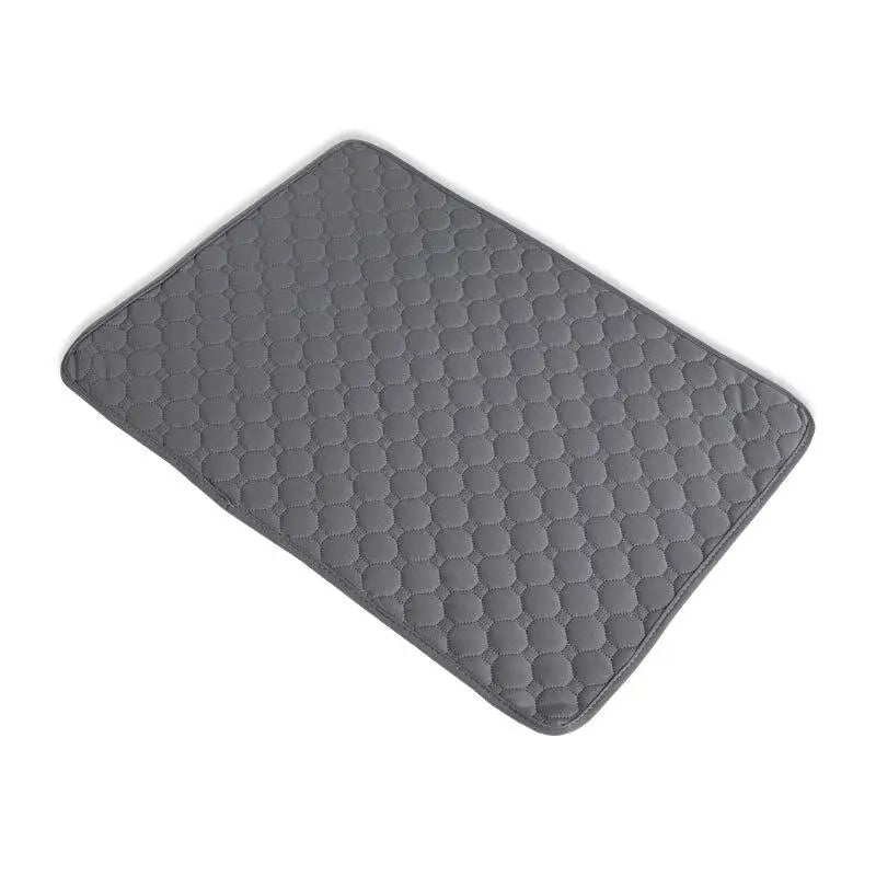 Washable Dog Pee Pad Reusable Waterproof Pet Training Mat Non Slip Absorbent Dog Bed Mat For Puppy Cat Small Medium Large Dogs Oasis Select A XL