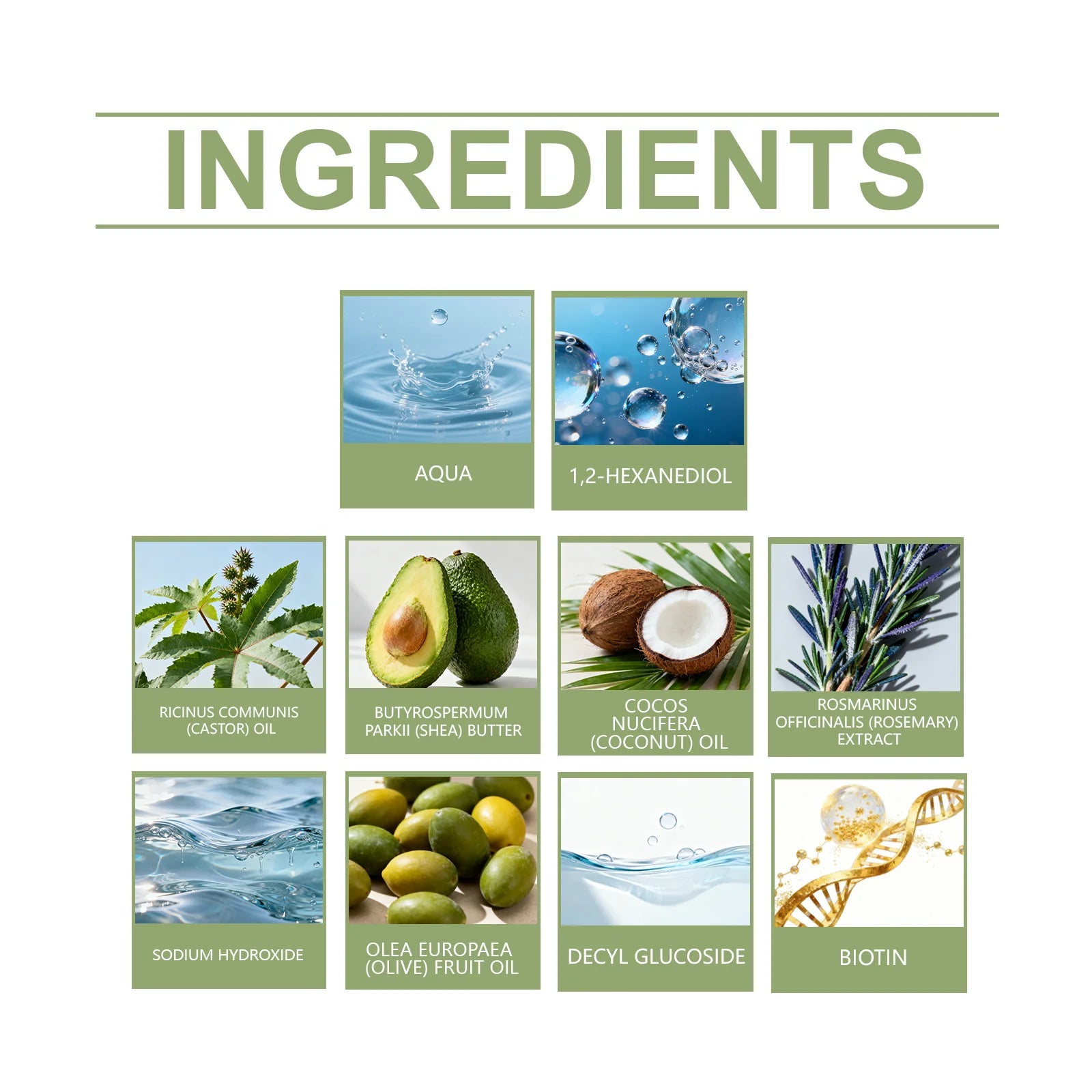 Rosemary Shampoo Bar – Moisturizing, Volumizing Daily Hair Cleanse Solid Shampoo Bar Oasis Select