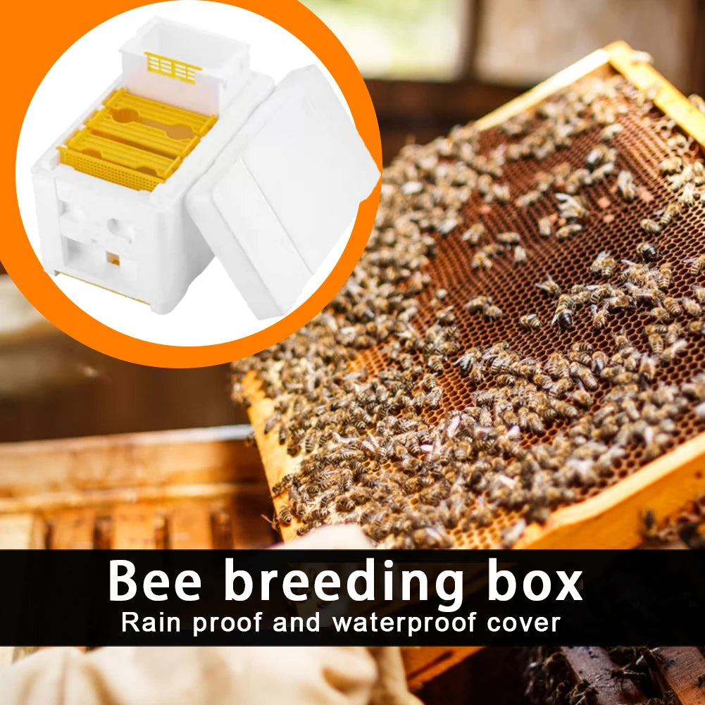 Foam Beehive King Box – Beekeeping Mating & Pollination Kit Beekeeping Hive Box Oasis Select
