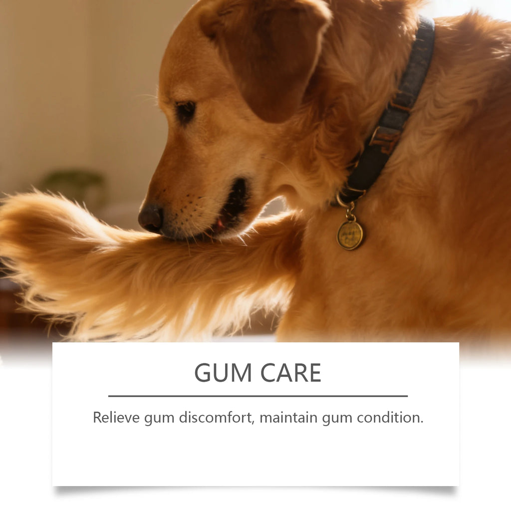Dog Oral Care Spray Beef Flavor Reduces Plaque & Tartar Buildup Breath Freshener Eliminates Bad Breath Daily Oral Care Oasis Select