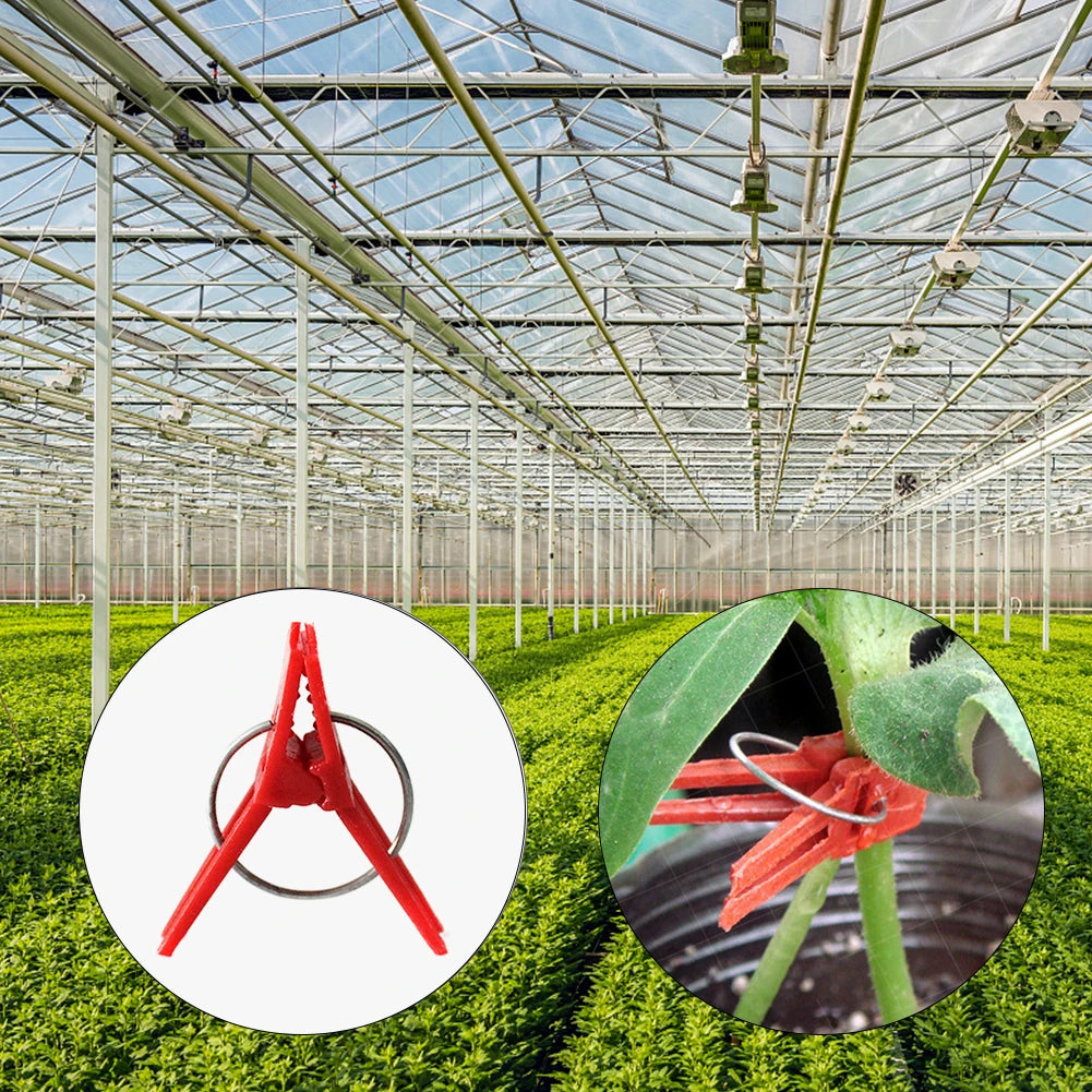 50 Pcs Plant Grafting Clip Plastic Gardening Tool Vegetable Fixed Garden Tools Anti-fall Clamp for Vegetables Tomato Watermelon Oasis Select