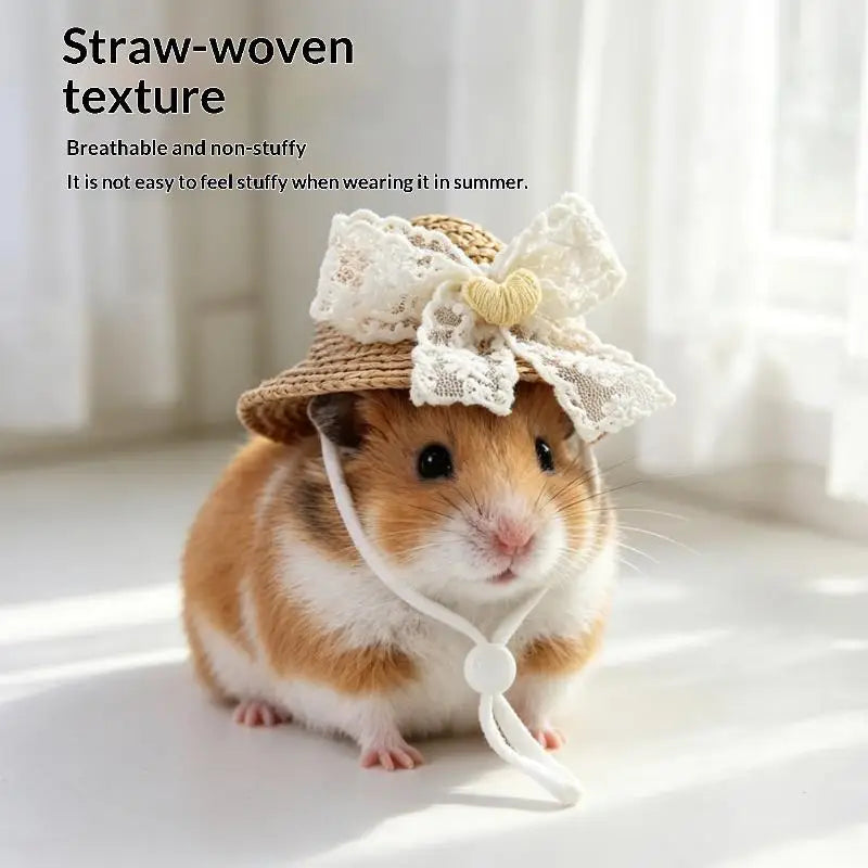 Cute Crochet Hat for Hamster, Guinea Pig & Small Pets