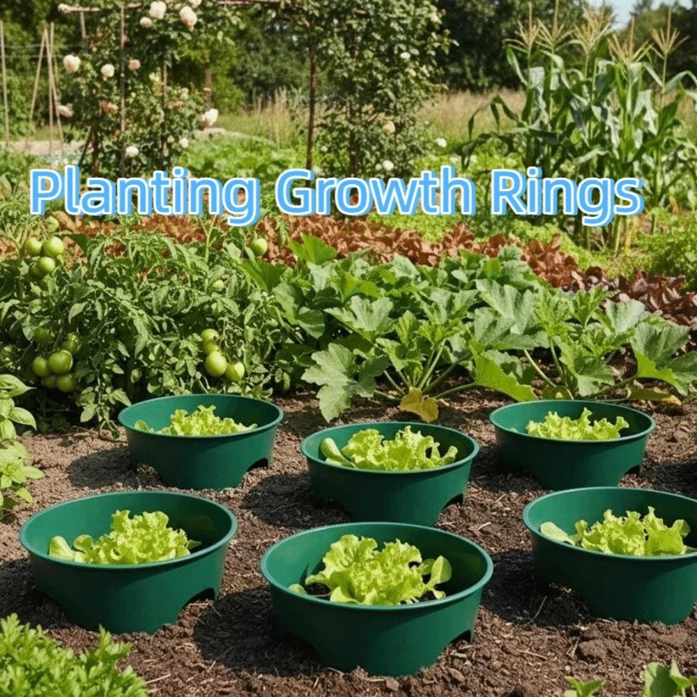 Deep Root Watering Rings for Garden Plants – 2 Pack