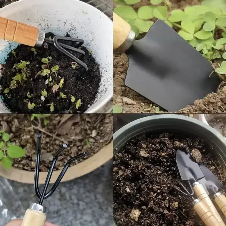 3 PCS Mini Garden Tool Set – Stainless Steel Indoor Kit for Succulents, Herbs & Potted Plants, Rust-Resistant & Compact Oasis Select