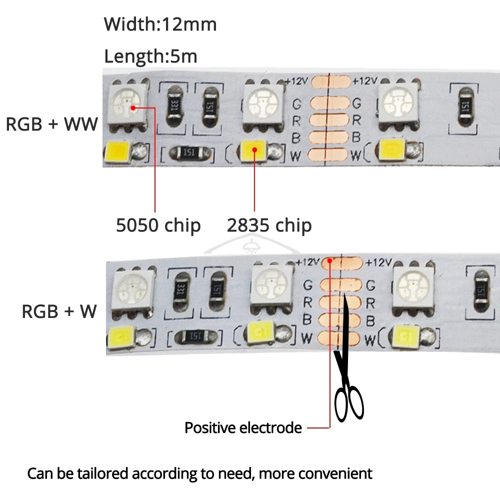 5M Double Row RGB LED Strip Light SMD 5050 DC 12V Flexible Neon