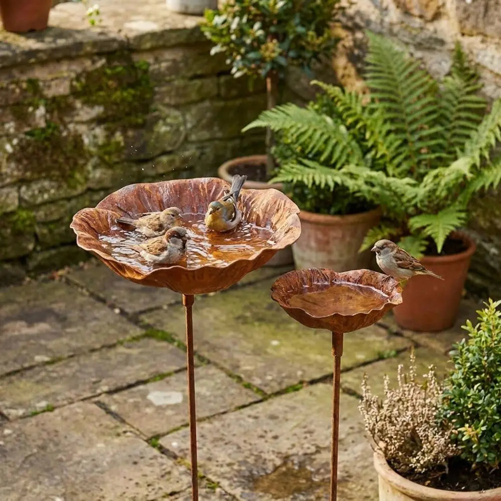 Flower Shape Metal Bird Bath Rusted Vintage Iron Art Bird Water Dispenser Handcrafted Ground Insert Flower Garden Stake Oasis Select