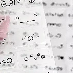 Steve Random 2pcs Cute PET Transparent Emoticon Stickers Journal Decorative Stickers Oasis Select Default Title