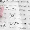 Steve Random 2pcs Cute PET Transparent Emoticon Stickers Journal Decorative Stickers Oasis Select Default Title