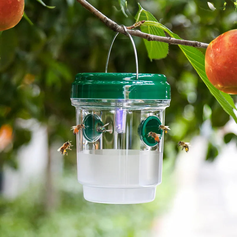 Clear Plastic Outdoor Insect Trap with Lid - Effective for Catching Fruit Flies, Wasps, Transparent Design for Easy Monitoring Oasis Select green