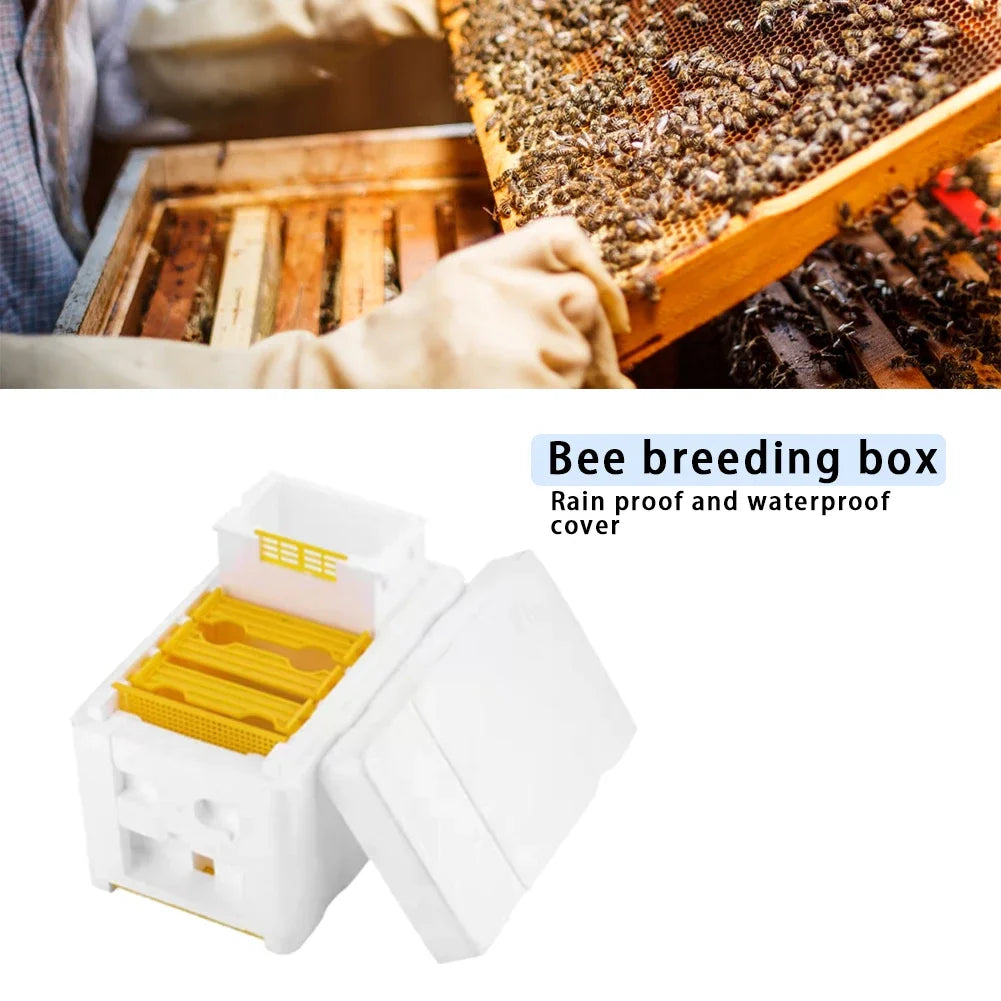 Foam Beehive King Box – Beekeeping Mating & Pollination Kit Beekeeping Hive Box Oasis Select