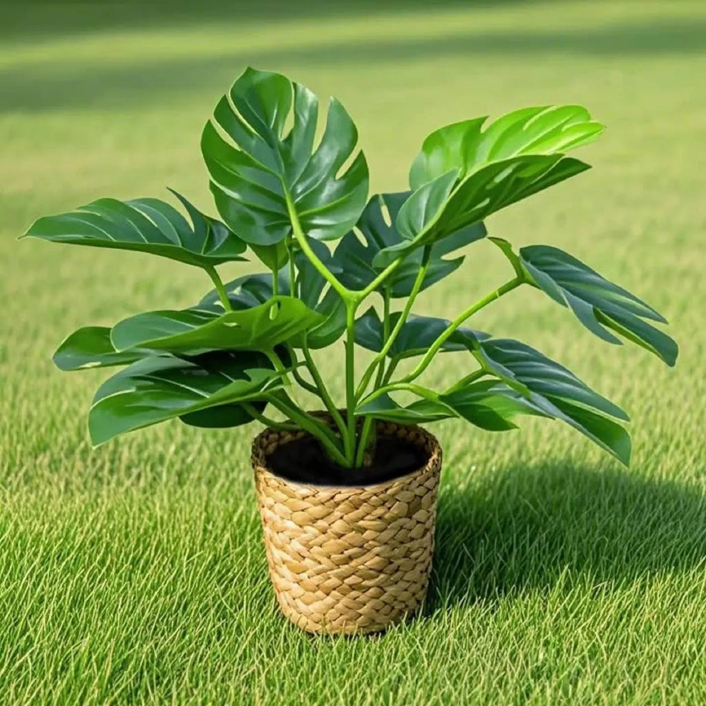 Artificial Monstera Turtle Back Leaf Simulation Potted Plant Artificial Potted Plant Oasis Select
