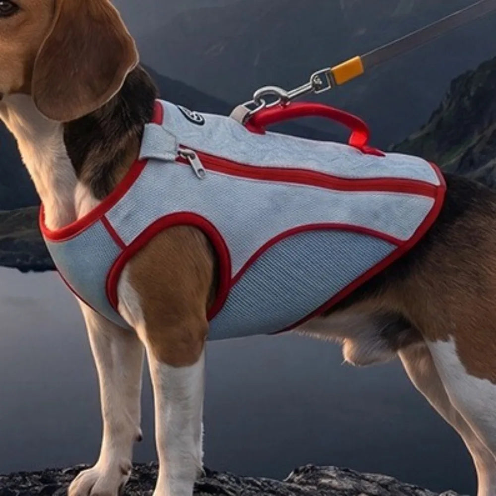 Breathable Dog Cooling Vest Sun Protection Adjustable Pet Cooling Shirt Zipper Design with Traction Cooling Jacket Daily Wear Oasis Select Red-XS