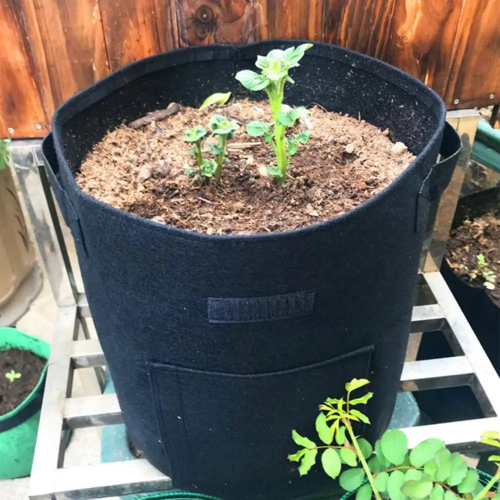 Multi-purpose Thicken Plant Grow Bags Access Flap Harvest Window Potato Pot Aeration Handles Vegetables Planter Tub Outdoor Oasis Select