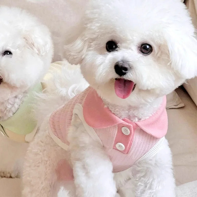Autumn Pet Dog Polo Shirt Breathable Dog Clothes Fashion Puppy Vest Cute Solid Cat Shirt Soft Pet Costumes Macaroon Color Oasis Select pink M