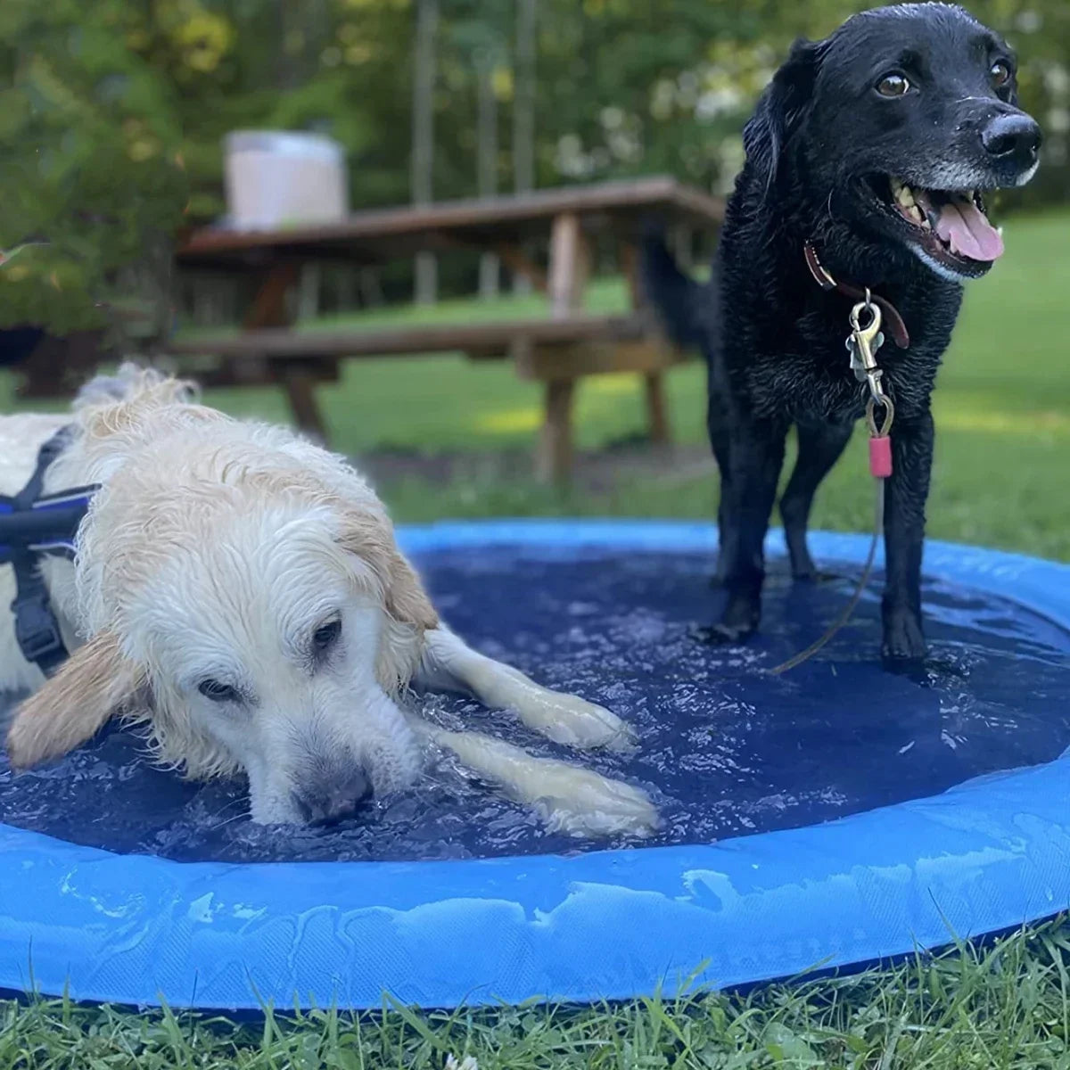 100/150/200cm Pet Swimming Pool Inflatable Sprinkler Pad Outdoor Water Fountain Play Mat Summer Cooling Toy for Dogs and Puppies Oasis Select
