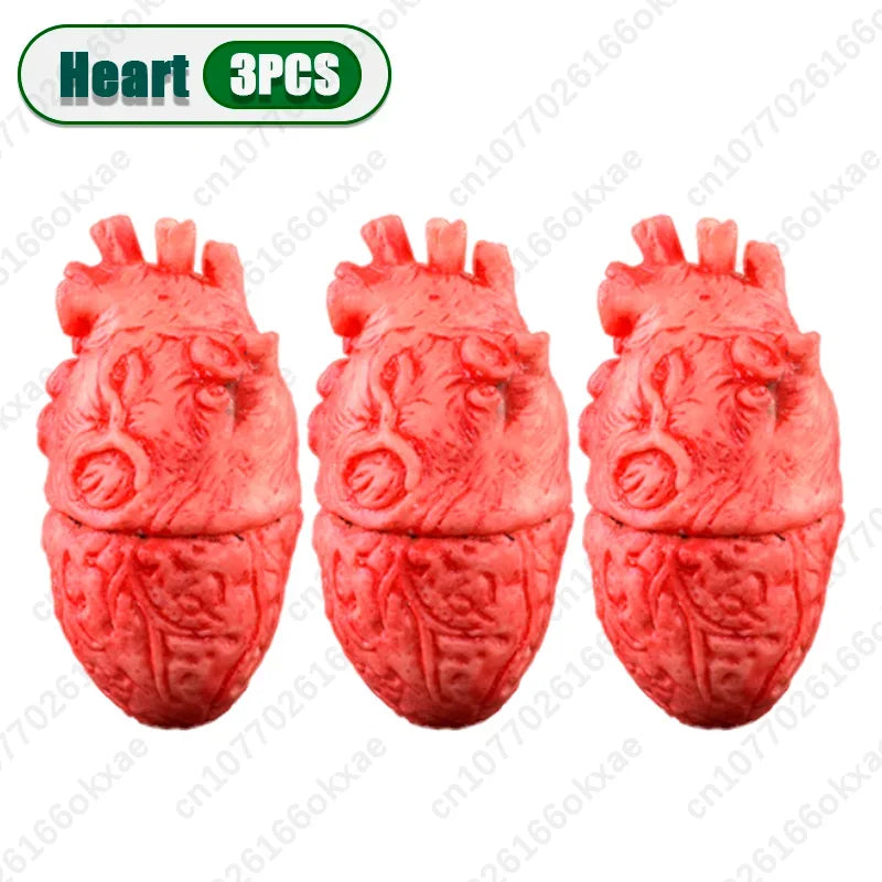 Halloween Fake Human Limbs Props – Hands, Feet, Brain & Heart