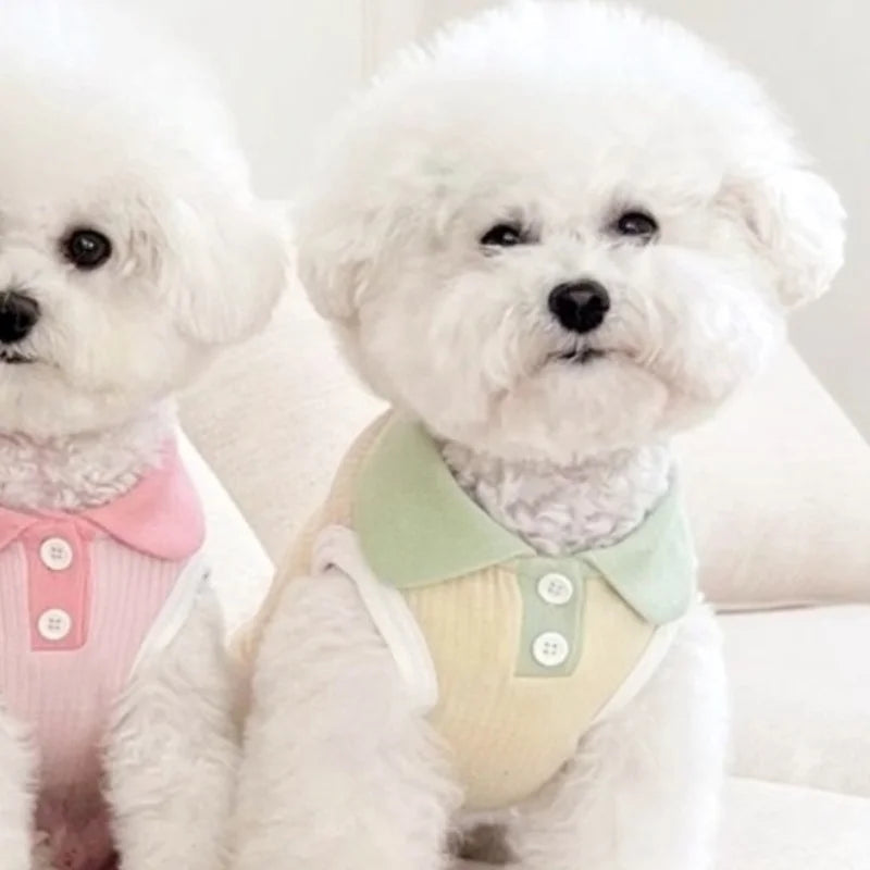 Autumn Pet Dog Polo Shirt Breathable Dog Clothes Fashion Puppy Vest Cute Solid Cat Shirt Soft Pet Costumes Macaroon Color Oasis Select Yellow M