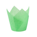 Cupcake Liners Muffin Liners Holders for Baking Cups Cupcake Wrappers in Standard Size Classic Parchment Paper Cupcake Liners Oasis Select green 50PCS-1 SET