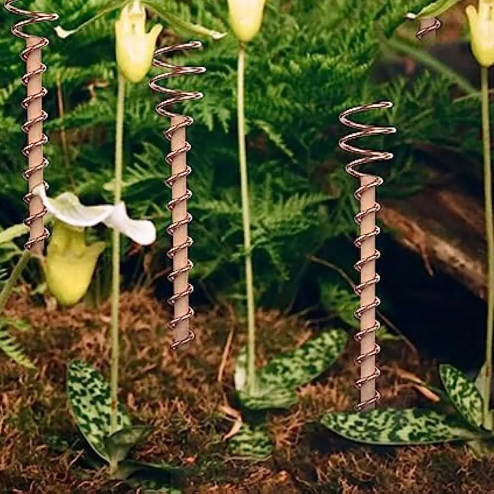 Bonsai Copper Electroculture Plant Stakes Wire Coil Wood Rod Gardening Copper Coil Antennas Plant Support Frame Garden Oasis Select
