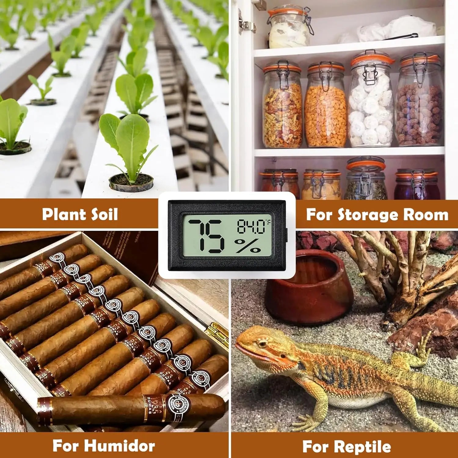2-Pack 2-in-1 Thermometer & Hygrometer for Reptiles — Terrarium Tool for Reptiles and Amphibians Oasis Select