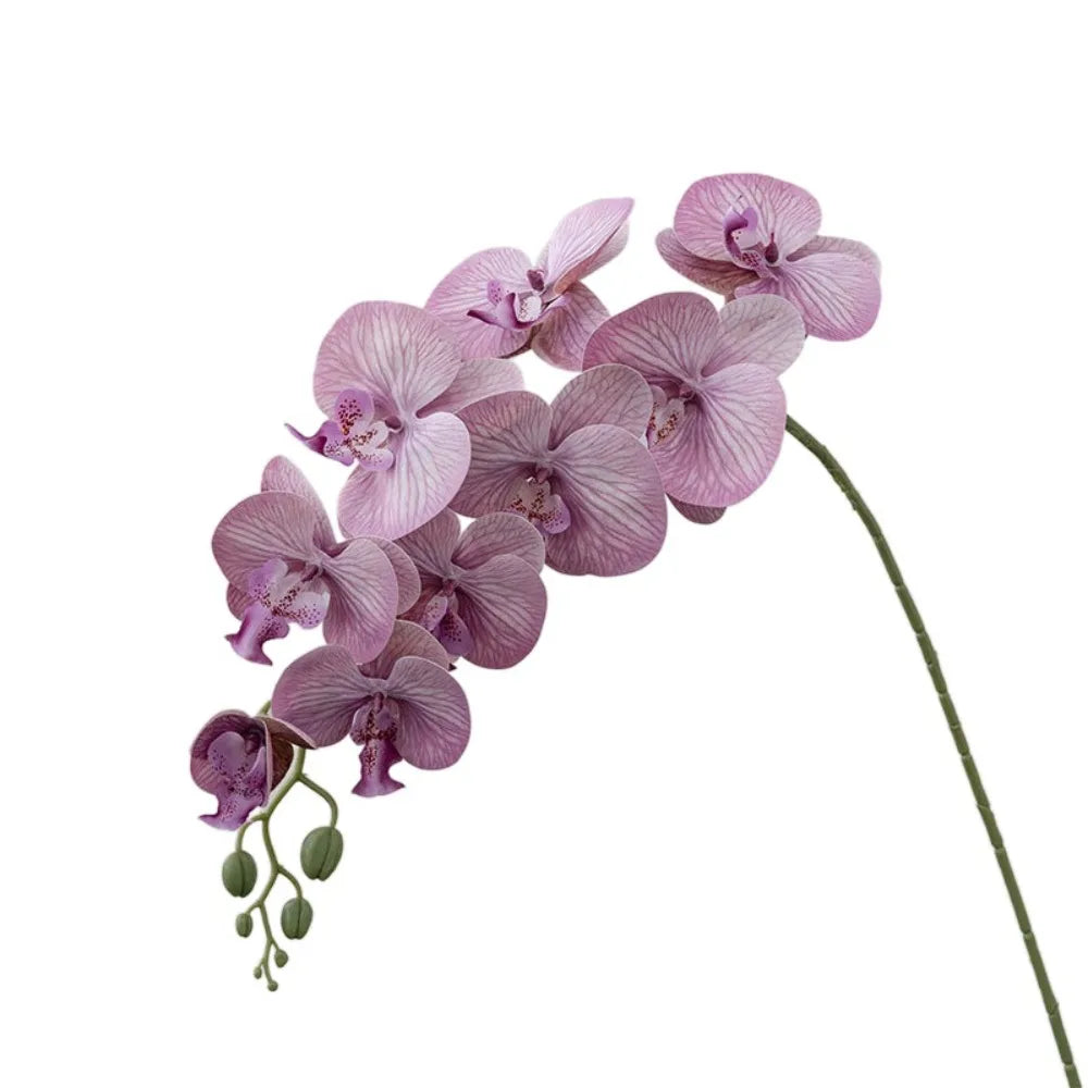 9-Head Artificial Phalaenopsis Orchid Branch | Real Touch Flowers