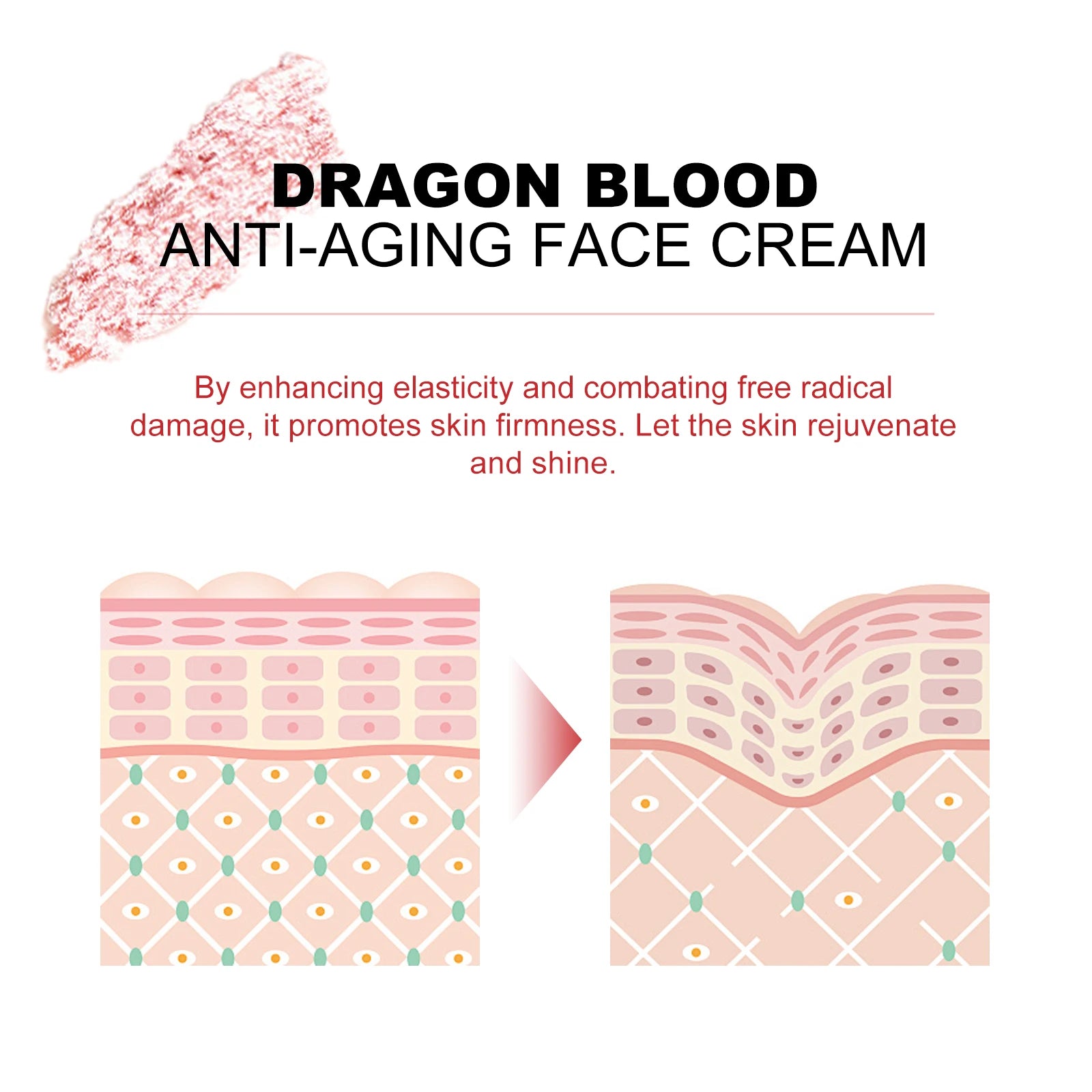 Eelhoe Dragon's Blood Moisturizing Cream – Anti-Aging 50g