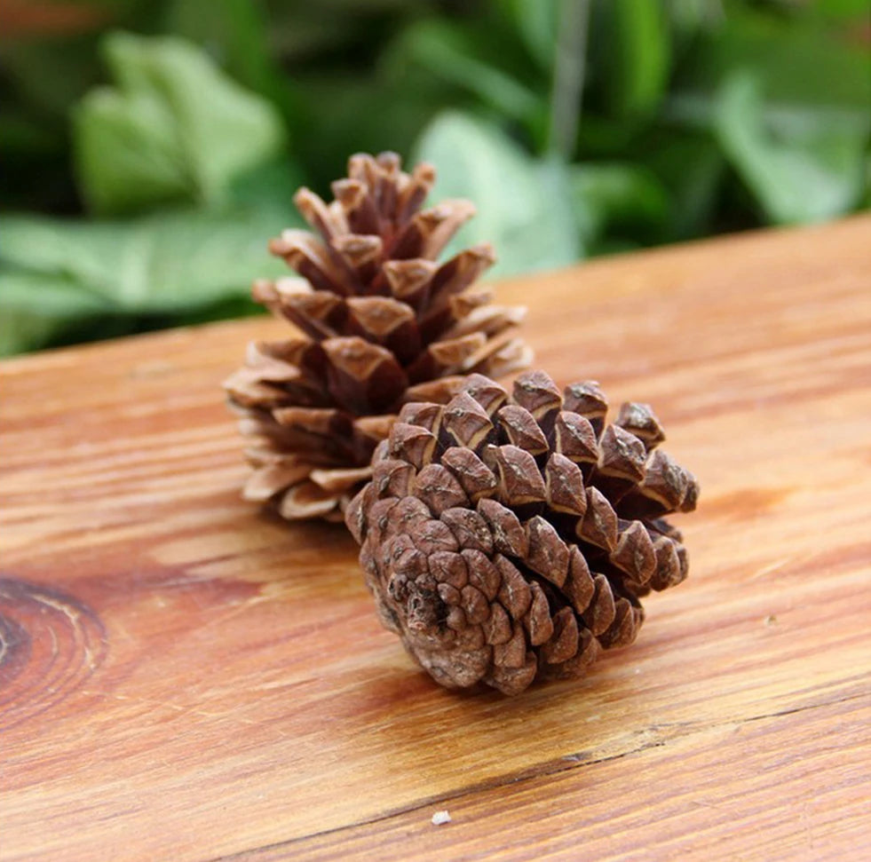Pinecone Christmas Tree Ornaments 9-Pack | Rustic Wood Decor
