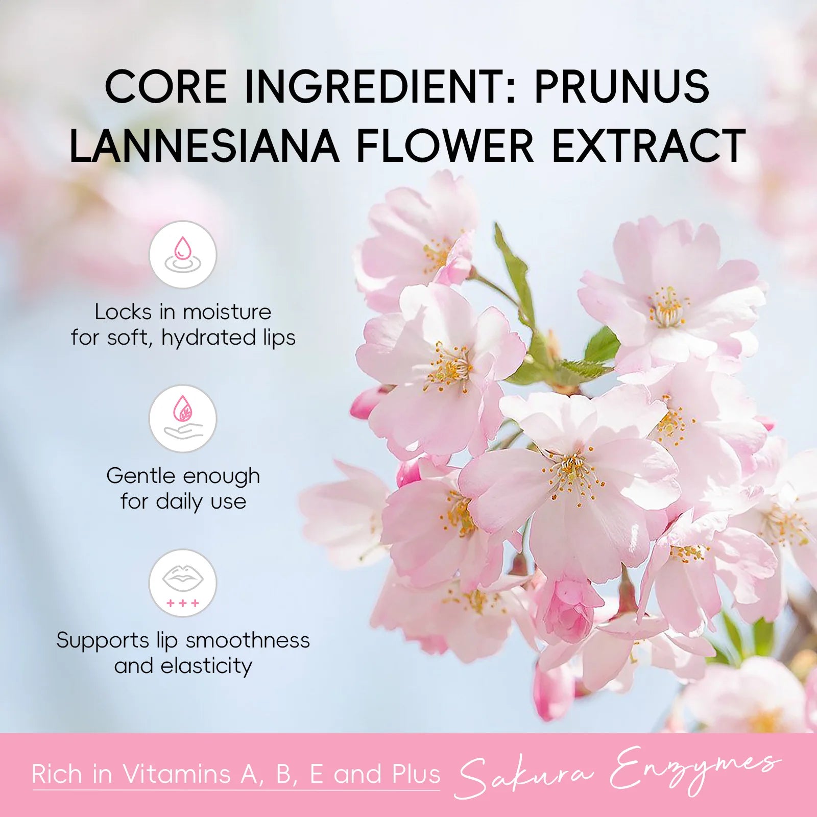 BIOAQUA Sakura Cherry Blossom Moisturizing Lip Balm 1/2/3pcs Moisturizing Lip Balm Oasis Select