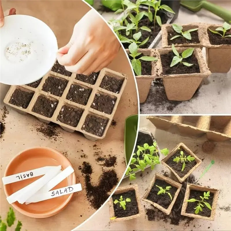 20/40PCS Biodegradable Pulp Seedling Trays Grid Lightweight Breathable Seed Starter Pots for Succulents Vegetables Garden Oasis Select