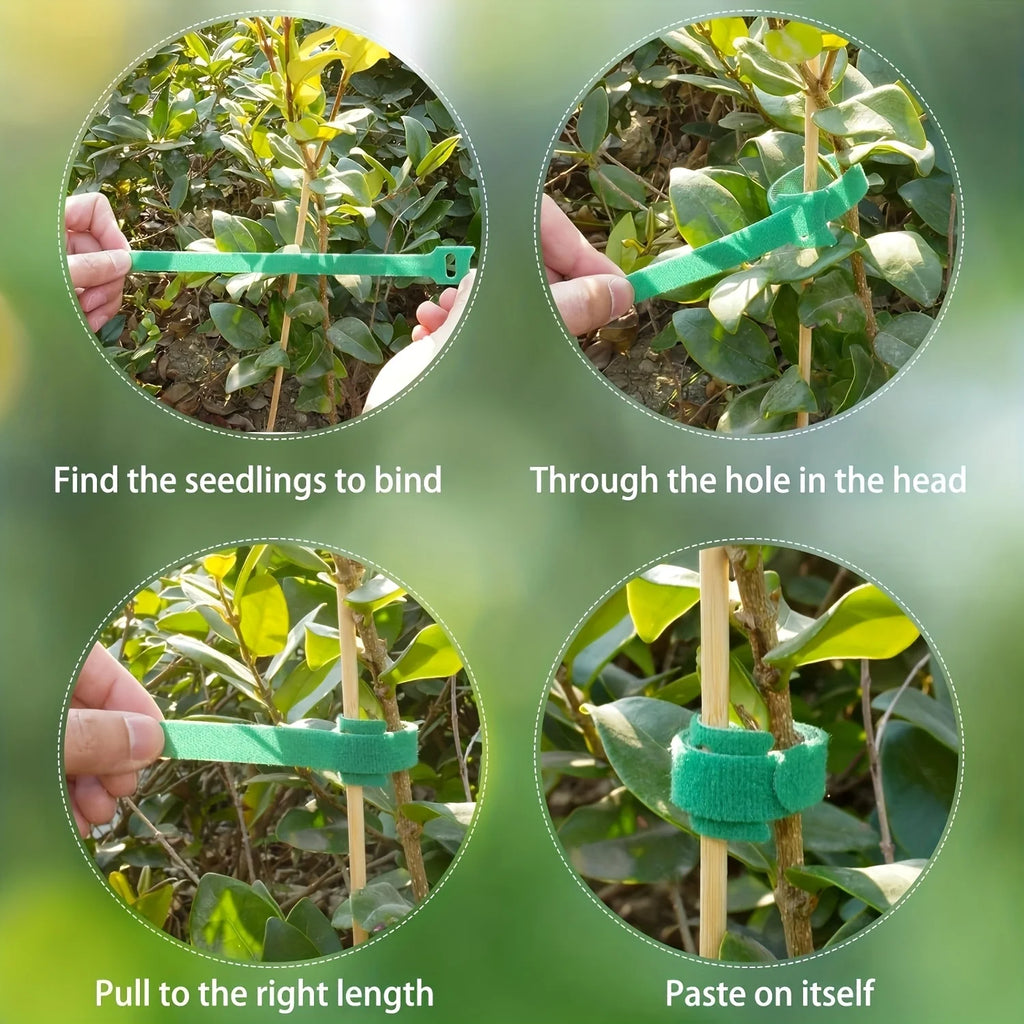 100Pcs Reusable 6 Inch Adjustable Nylon Plant Ties Non-Slip Hook and Loop Fasteners Garden Tape for Climbing Plants Support Oasis Select
