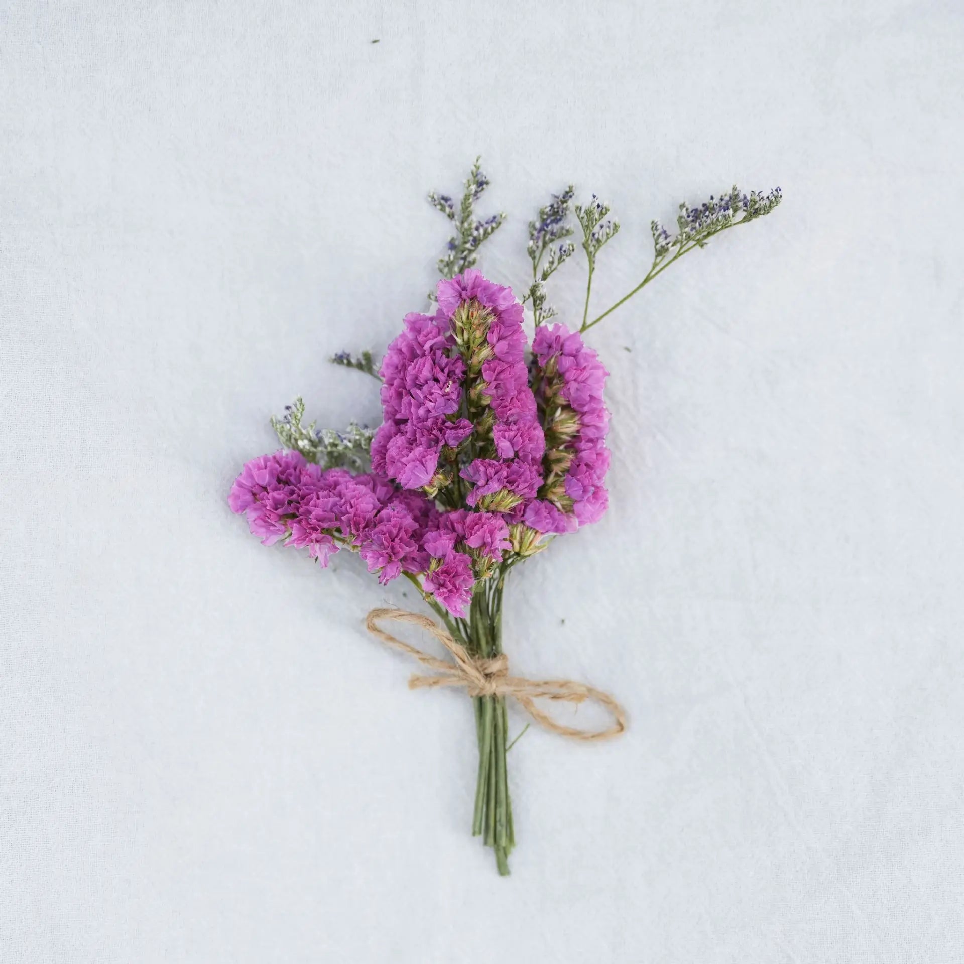 Dried Flower Bouquet High-Quality Fingertip Bouquet Greeting Card Decoration Versatile Diy Flower Kit For Diy Projects Event Oasis Select 2